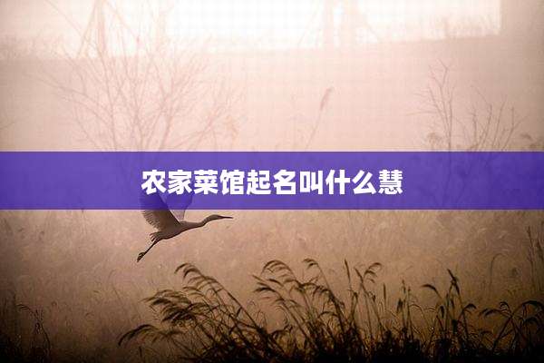 农家菜馆起名叫什么慧