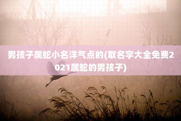 男孩子属蛇小名洋气点的(取名字大全免费2021属蛇的男孩子)