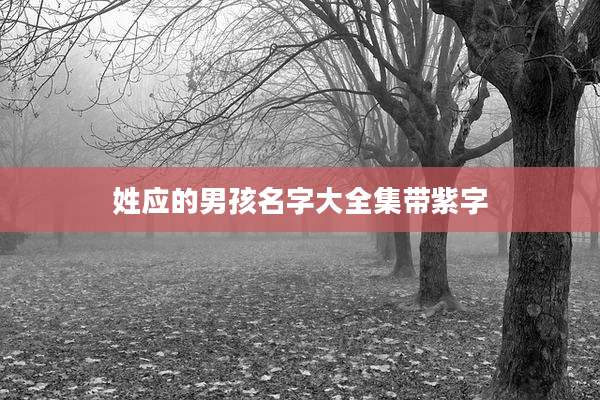 姓应的男孩名字大全集带紫字