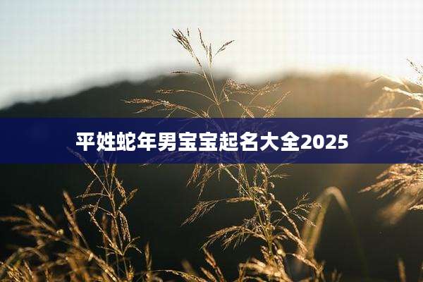 平姓蛇年男宝宝起名大全2025