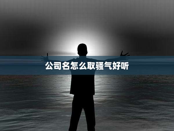 公司名怎么取骚气好听