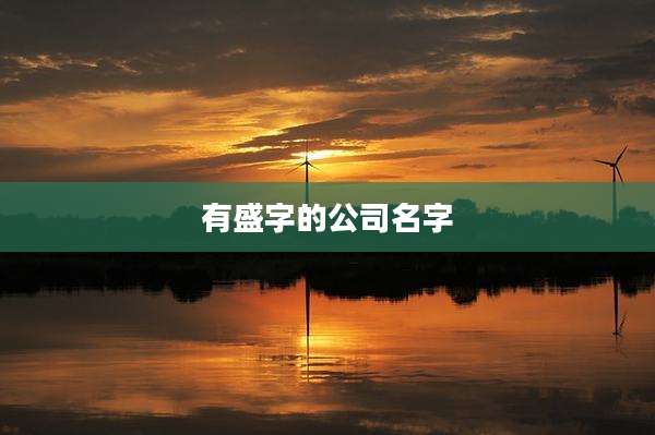 有盛字的公司名字