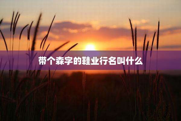 带个森字的鞋业行名叫什么