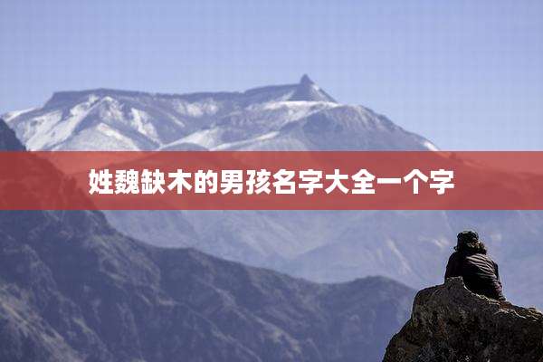 姓魏缺木的男孩名字大全一个字