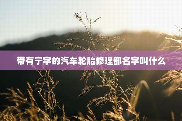 带有宁字的汽车轮胎修理部名字叫什么