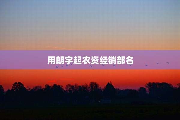 用朗字起农资经销部名