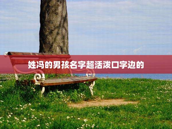 姓冯的男孩名字超活泼口字边的