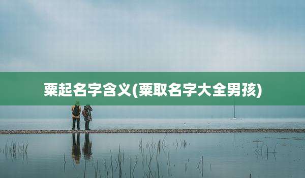 粟起名字含义(粟取名字大全男孩)
