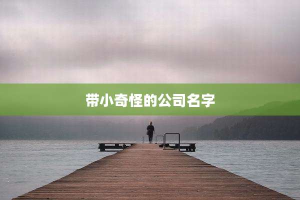 带小奇怪的公司名字