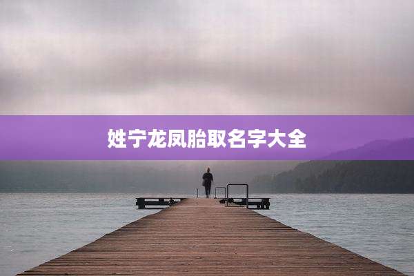 姓宁龙凤胎取名字大全