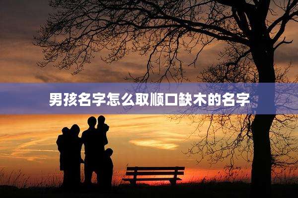 男孩名字怎么取顺口缺木的名字