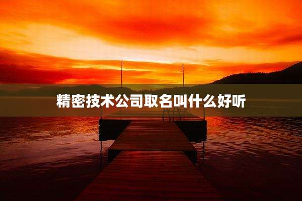精密技术公司取名叫什么好听