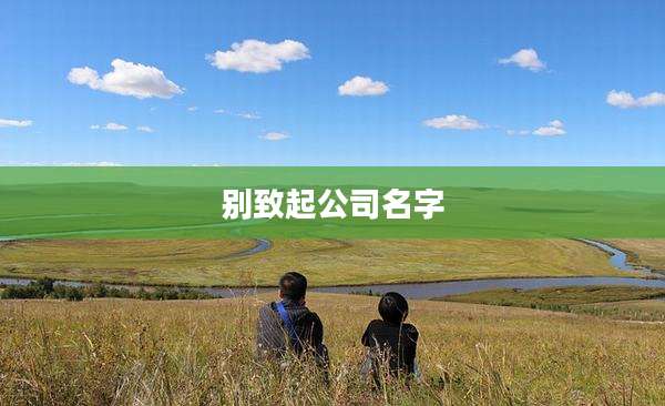 别致起公司名字