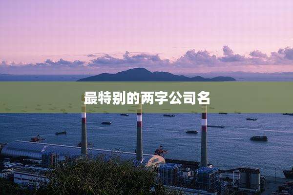 最特别的两字公司名