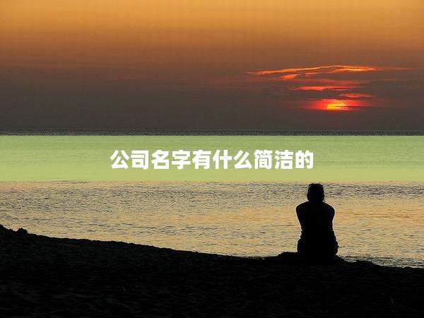 公司名字有什么简洁的