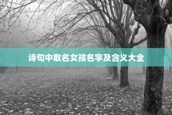 诗句中取名女孩名字及含义大全