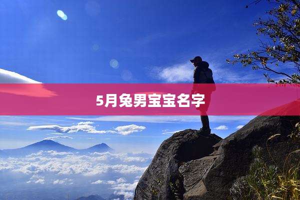 5月兔男宝宝名字