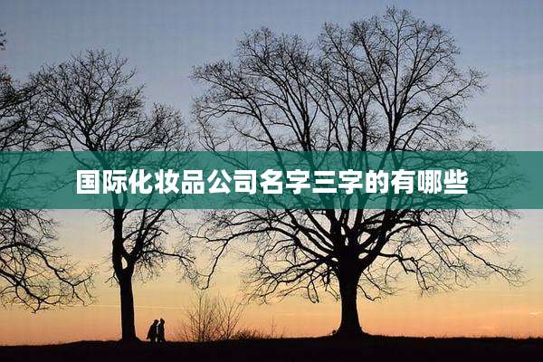 国际化妆品公司名字三字的有哪些