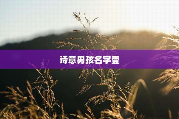 诗意男孩名字壹