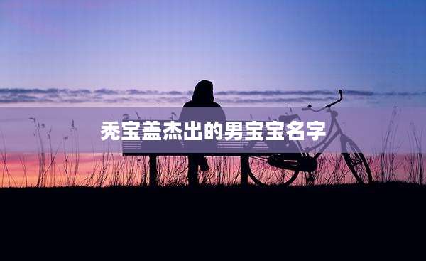 秃宝盖杰出的男宝宝名字