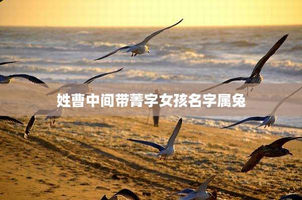 姓曹中间带菁字女孩名字属兔