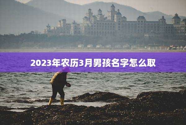 2023年农历3月男孩名字怎么取