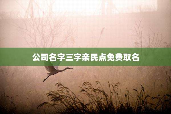 公司名字三字亲民点免费取名