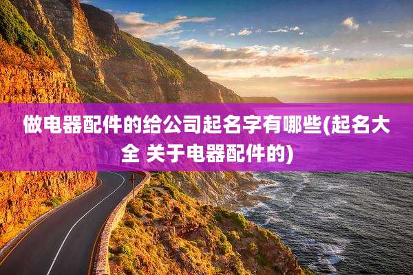 做电器配件的给公司起名字有哪些(起名大全 关于电器配件的)