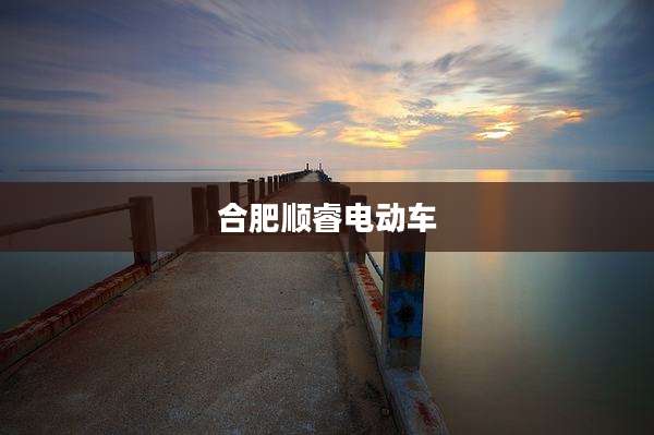 合肥顺睿电动车