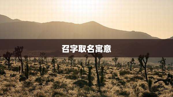 召字取名寓意