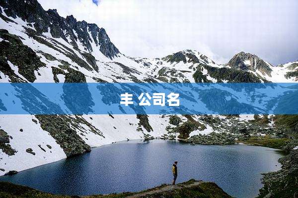 丰 公司名