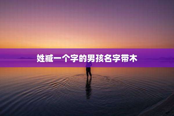 姓臧一个字的男孩名字带木