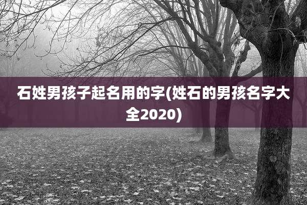 石姓男孩子起名用的字(姓石的男孩名字大全2020)