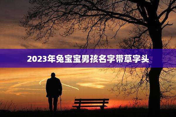 2023年兔宝宝男孩名字带草字头