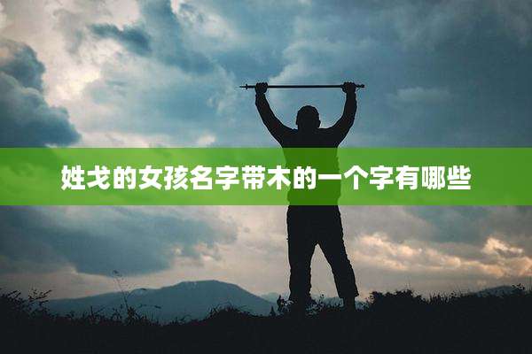 姓戈的女孩名字带木的一个字有哪些
