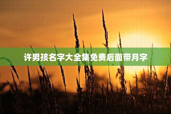 许男孩名字大全集免费后面带月字