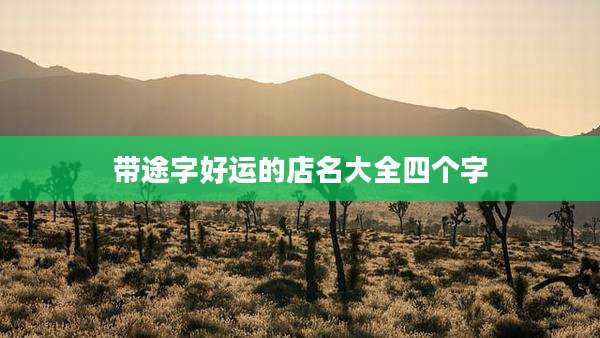 带途字好运的店名大全四个字