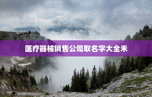 医疗器械销售公司取名字大全禾