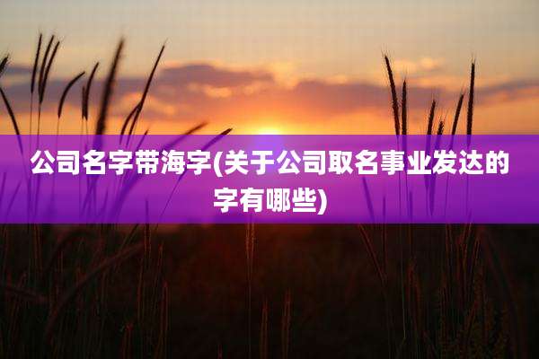 公司名字带海字(关于公司取名事业发达的字有哪些)