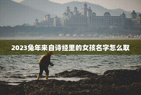 2023兔年来自诗经里的女孩名字怎么取