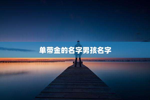 单带金的名字男孩名字