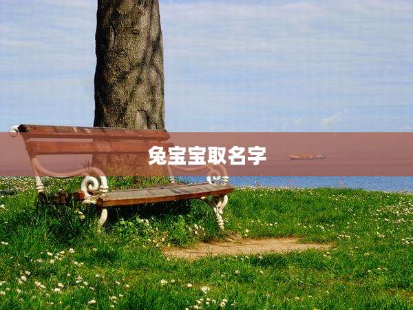 兔宝宝取名字