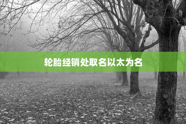 轮胎经销处取名以太为名