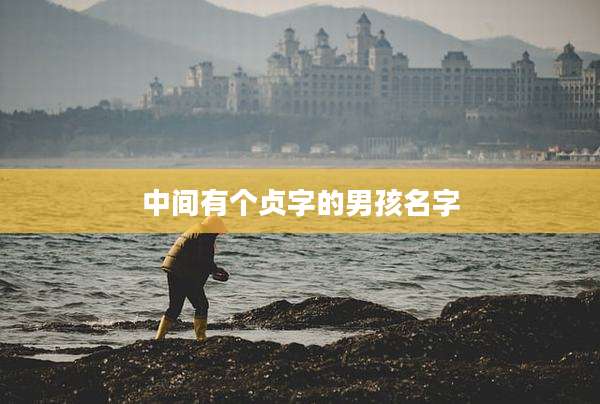 中间有个贞字的男孩名字