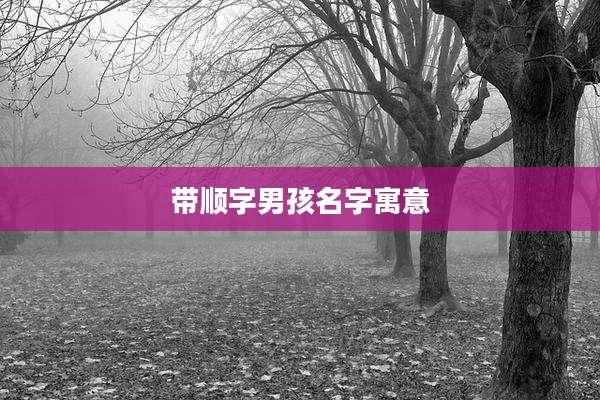 带顺字男孩名字寓意