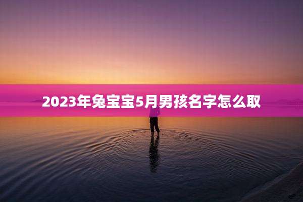 2023年兔宝宝5月男孩名字怎么取