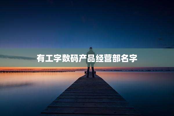 有工字数码产品经营部名字