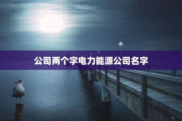 公司两个字电力能源公司名字