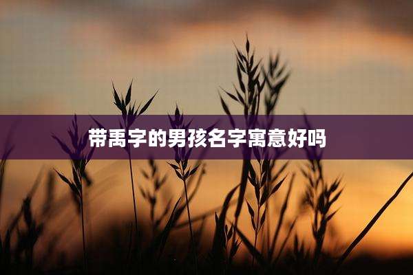 带禹字的男孩名字寓意好吗