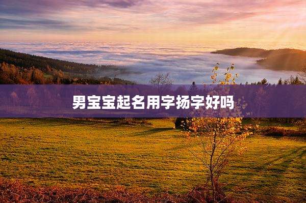男宝宝起名用字扬字好吗